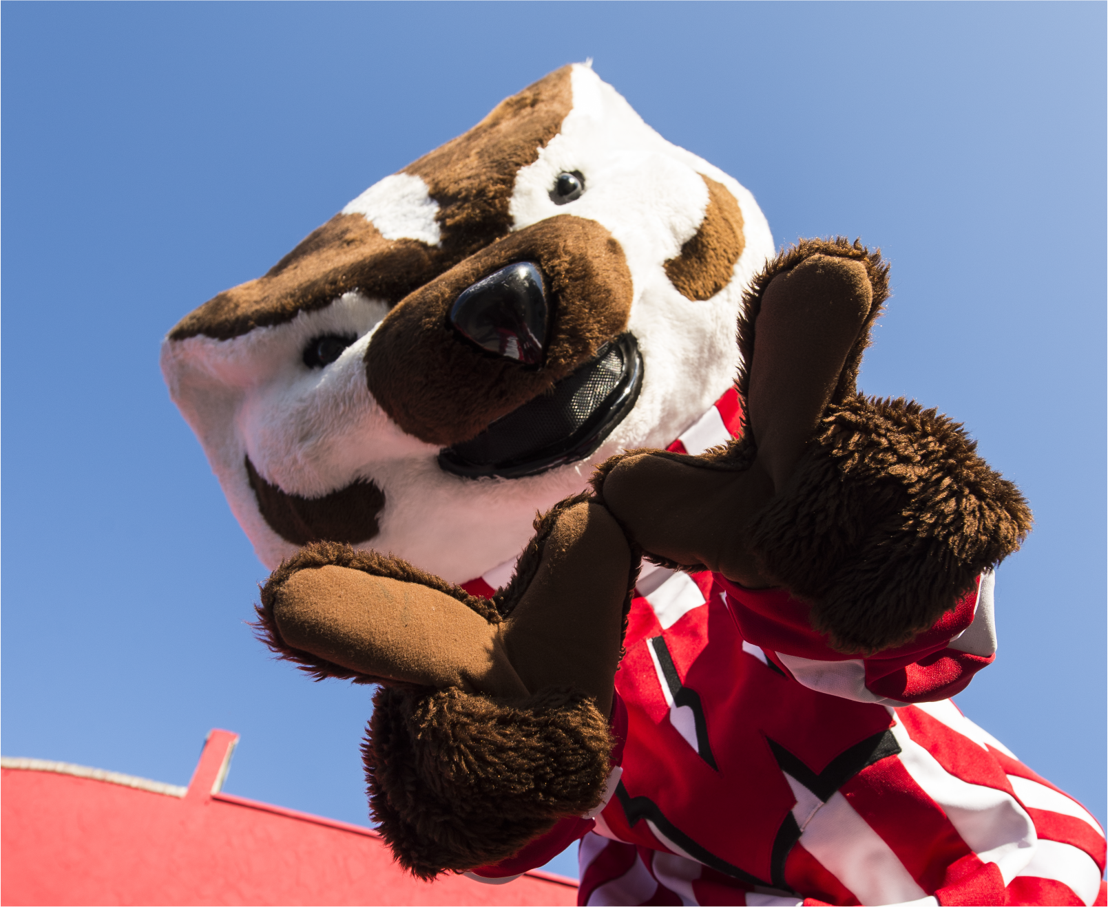 Bucky welcomes you!